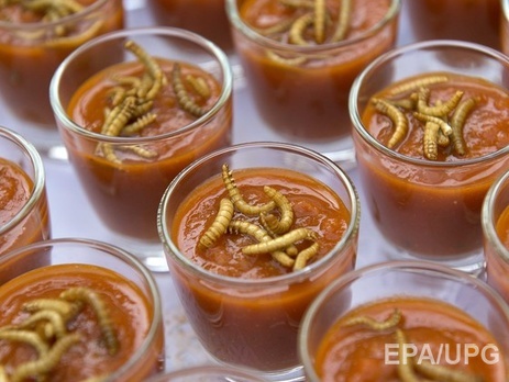 Российские ученые предложили в рамках импортозамещения есть дождевых червей