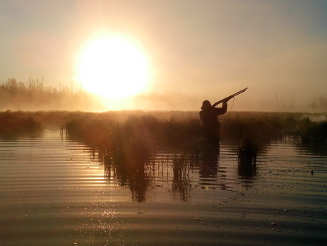 В трех граничащих с зоной АТО районах Днепропетровской области запретили охоту