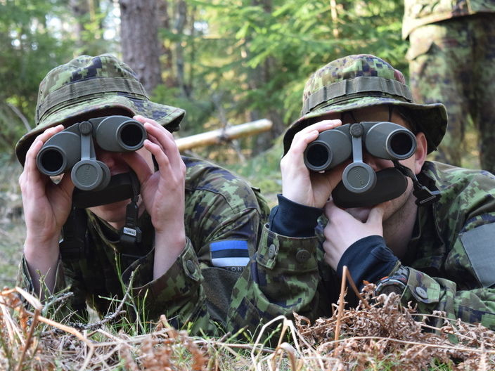 Украинские военные примут участие в учениях НАТО "Весенний шторм" на территории Эстонии