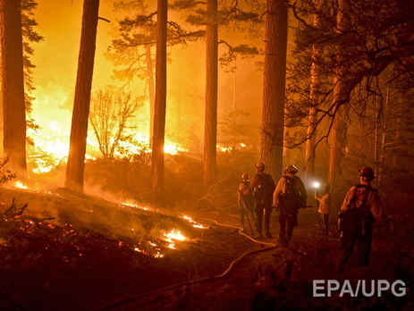 В Калифорнии из-за лесных пожаров объявили режим ЧС