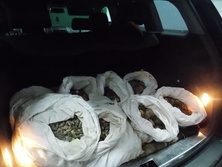 Теневой янтарь. Конфликты вокруг незаконной добычи камня в Украине