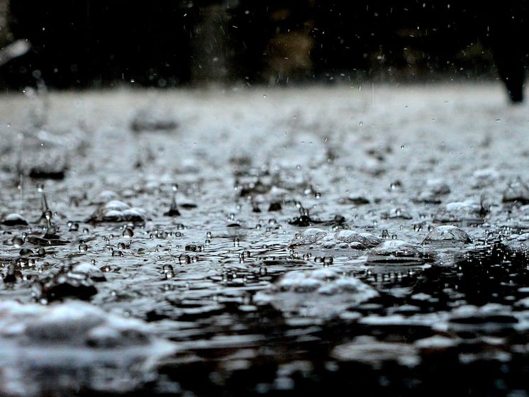29 апреля в Украине похолодает и пройдут дожди &ndash; синоптик