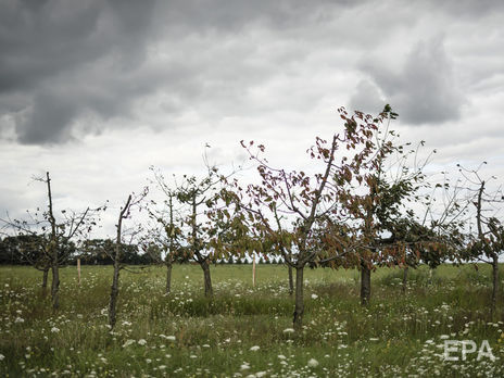 На юге Хорватии прошел град, в результате которого улицы одного из городов покрылись несколькими сантиметрами льда