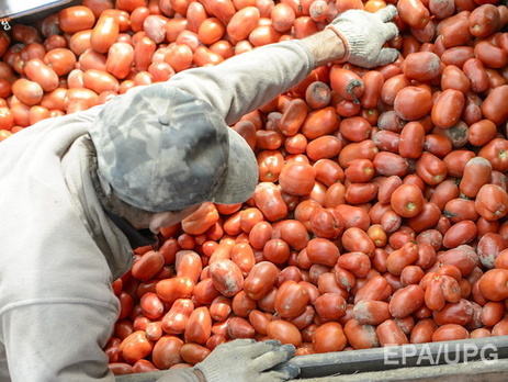 Водитель спас помидоры от уничтожения российскими чиновниками