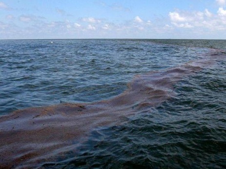 В районе Мариуполя произошел разлив нефти