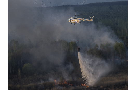 ГСЧС: В Чернобыльской пуще обнаружен новый очаг возгорания