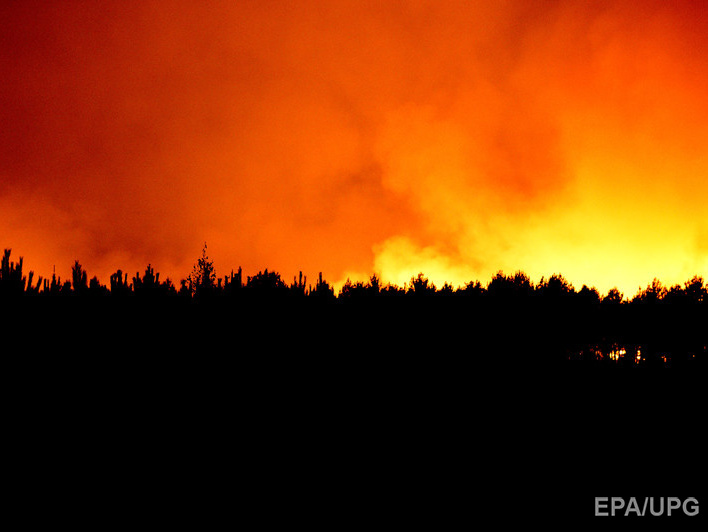 Лесной пожар уничтожил 80 гектаров леса на юге Франции