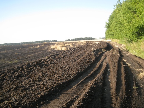 Госслужба по ЧС: В Житомирской области горела пшеница на площади 80 га