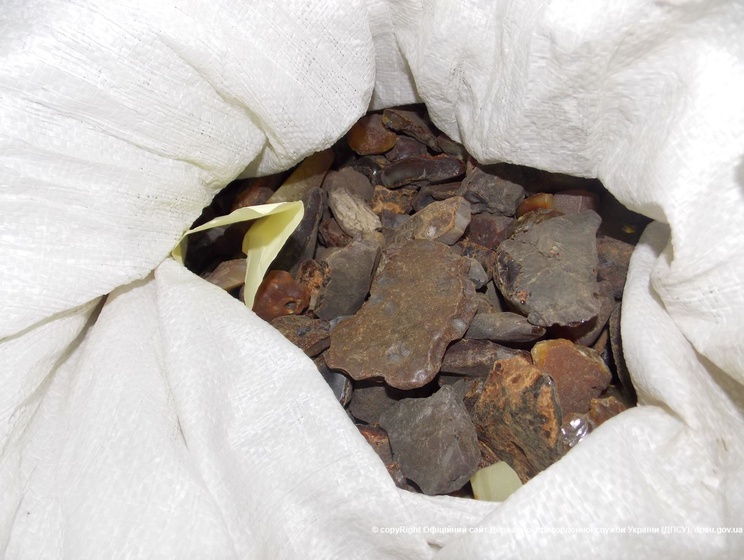 В результате воздушного мониторинга в Житомирской и Ровенской областях авиация пограничников обнаружила более 20 фактов незаконной добычи янтаря