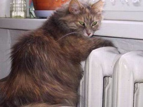 Минздрав намерен понизить минимально допустимую температуру в жилых помещениях до +16°С