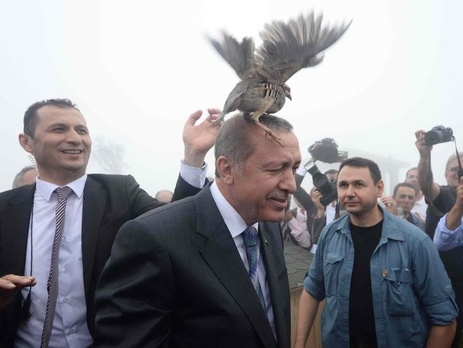 На открытии мечети на голову Эрдогану села куропатка
