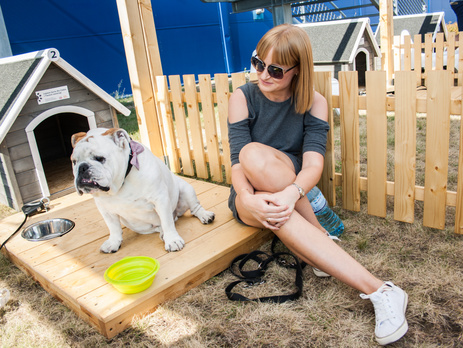 В Познани устроили 