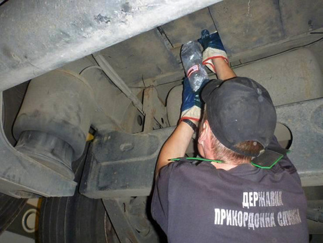 В Закарпатье пограничники и таможенники задержали контрабанду 50 кг янтаря