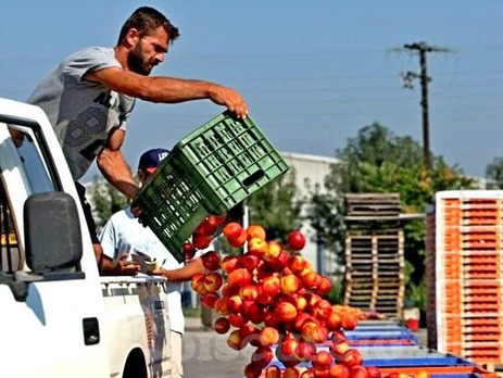 Житель Владивостока о звонке в полицию из-за санкционных гусей: Если бы был трезвый, не звонил бы никуда