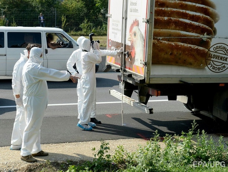 В найденном в Австрии грузовике обнаружили тела 71 мигранта