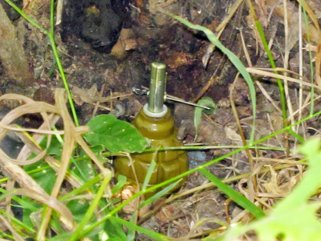 Луганская ОГА: Двое военных ВСУ ранены из-за подрыва на растяжке