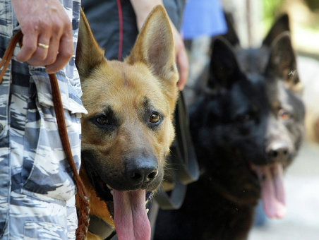 Милиция проверяет сообщение о минировании многоэтажки в Одессе