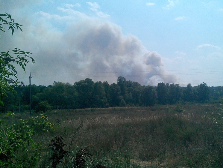 Под Киевом горит лес, в КГГА призвали жителей столицы закрывать окна