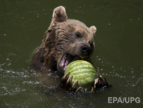 Синоптики: C сегодняшнего дня жара в Украине немного ослабнет