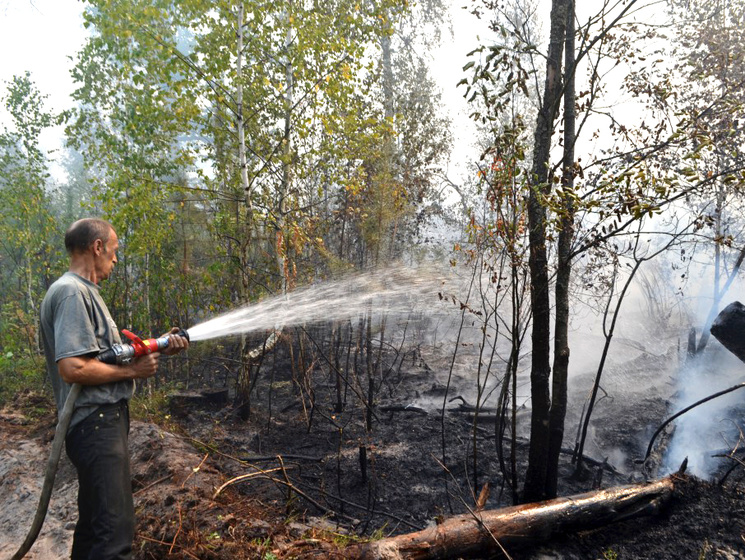 Госслужба по ЧС: В Киевской области продолжается тушение лесного пожара