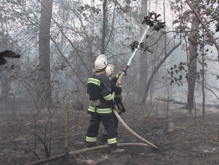 Госслужба по ЧС: Лесной пожар под Киевом потушили