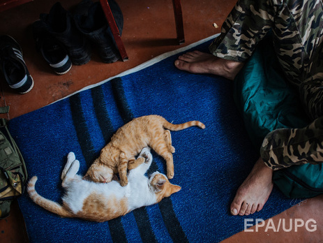 Пресс-центр АТО: Сегодня впервые за последние месяцы на Донбассе не стреляли