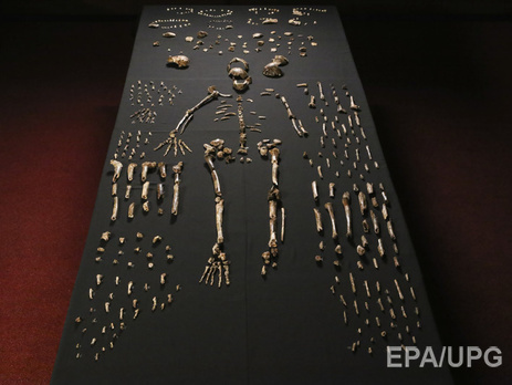 Associated Press: Ученые нашли в ЮАР кости нового предка человека