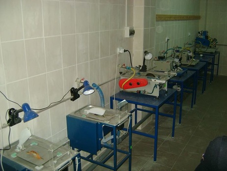 В Ровенской области налоговая милиция прекратила работу подпольного цеха по обработке янтаря