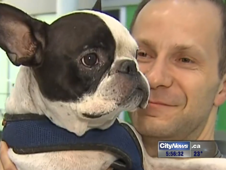 Пилот Air Canada посадил самолет ради спасения собаки