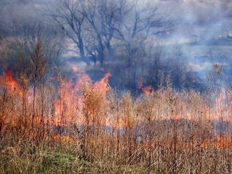 ГСЧС: 22–24 сентября на юге Днепропетровской, Кировоградской и Полтавской областей будет чрезвычайная опасность пожаров