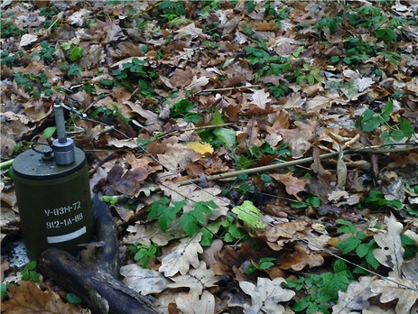 В Луганской области при разминировании территории на 