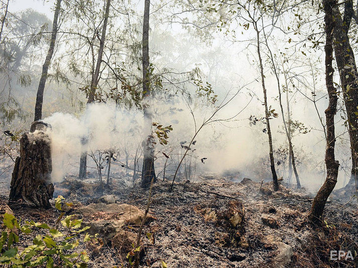При тушении лесного пожара в Мексике разбился вертолет российского производства