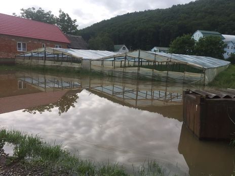 В Закарпатье для ликвидации последствий паводка поедет помощник Зеленского – Администрация Президента