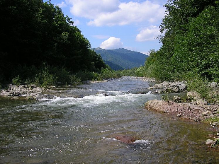 ﻿Дівчинка, чиє тіло виявили в річці на Закарпатті, була громадянкою Румунії
