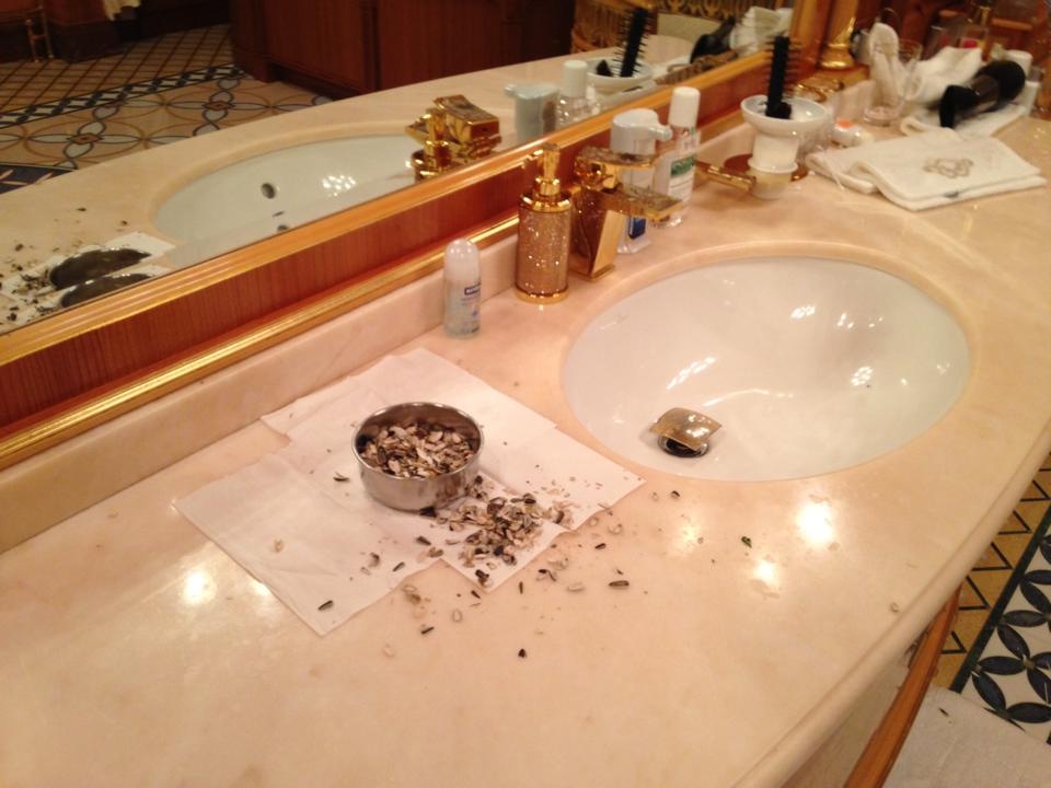 В одной из ванных - пепельница, полная семечек. Фото: Александр Аронець