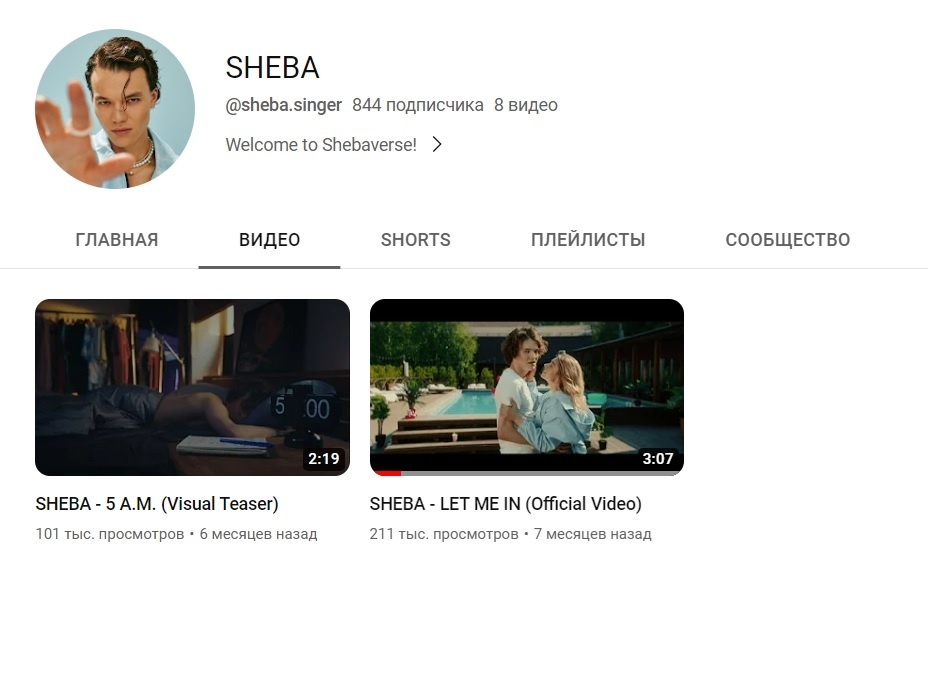 Скріншот: SHEBA/YouTube