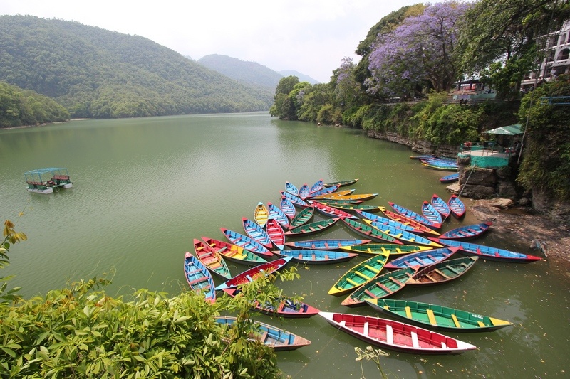 Разноцветные