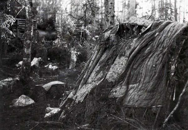 Типичные шалаши, которые делали для себя красноармейцы во время германо-советской войны