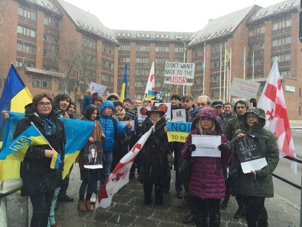 #FreeSavchenko. Активисты из разных стран мира требуют освободить Савченко. Фоторепортаж 17