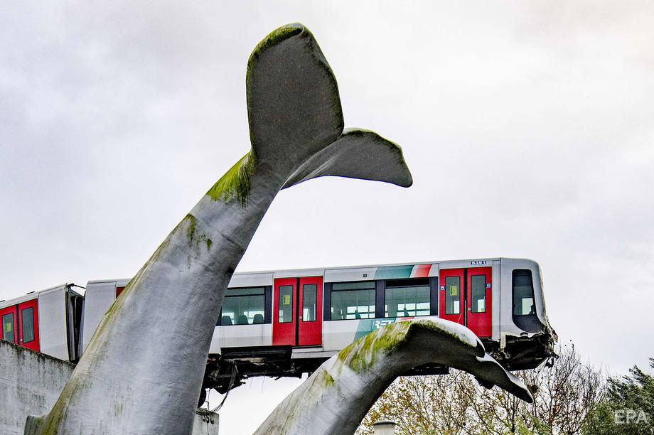 В Нидерландах с рельсов сошел поезд. Скульптура кита предотвратила его падение с 10-метровой высоты. Фоторепортаж 4