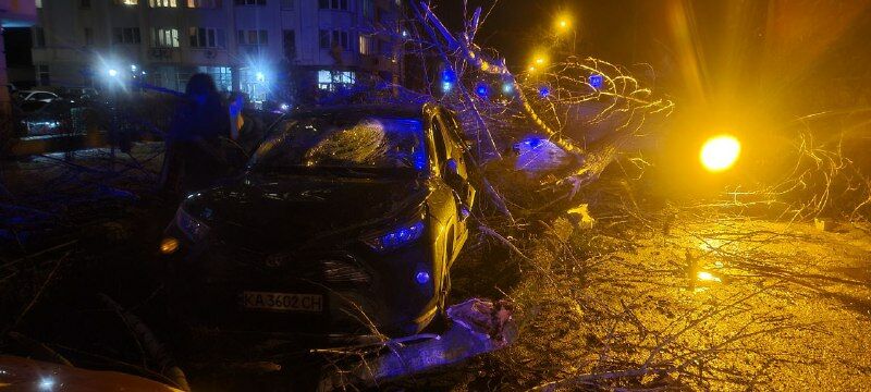 В Киеве ветер повалил массивное дерево и столб на автомобили. Погиб человек, десяток авто повреждены. Фоторепортаж 7