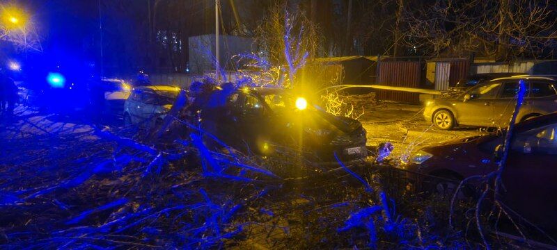 В Киеве ветер повалил массивное дерево и столб на автомобили. Погиб человек, десяток авто повреждены. Фоторепортаж 10