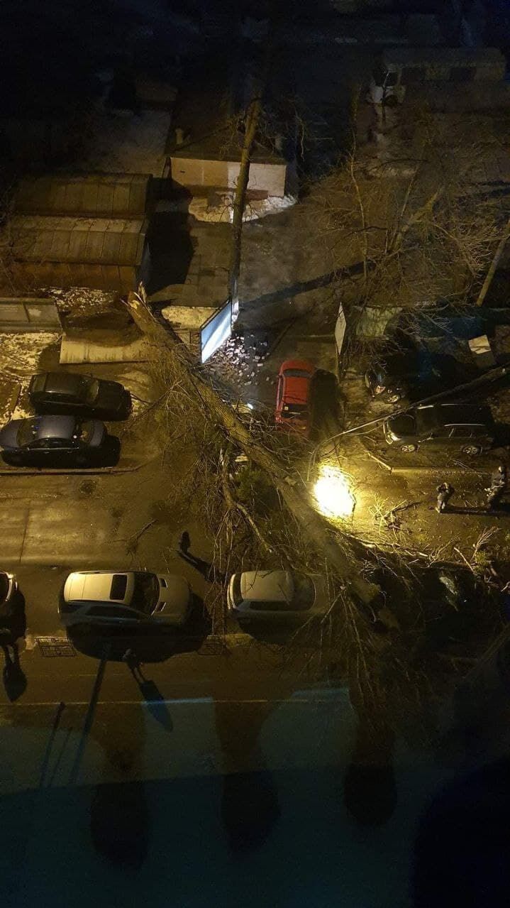 В Киеве ветер повалил массивное дерево и столб на автомобили. Погиб человек, десяток авто повреждены. Фоторепортаж 6