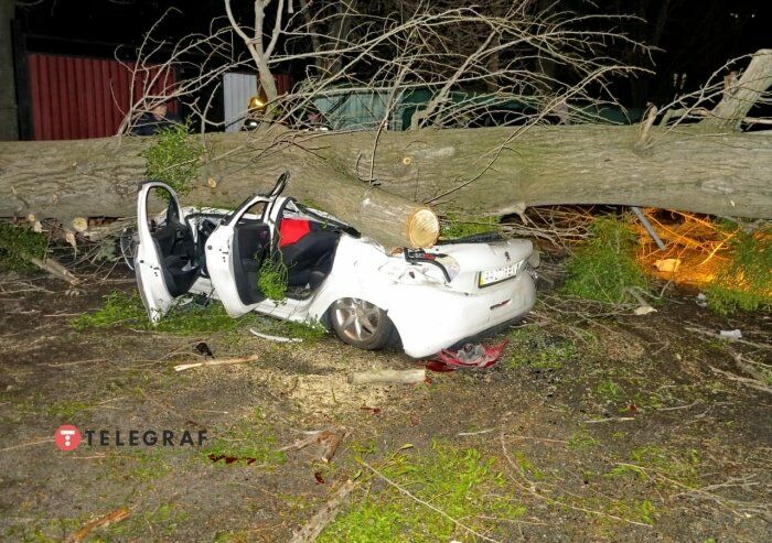 В Киеве ветер повалил массивное дерево и столб на автомобили. Погиб человек, десяток авто повреждены. Фоторепортаж 2