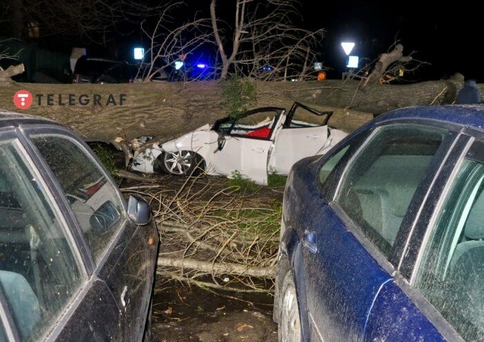 В Киеве ветер повалил массивное дерево и столб на автомобили. Погиб человек, десяток авто повреждены. Фоторепортаж 5