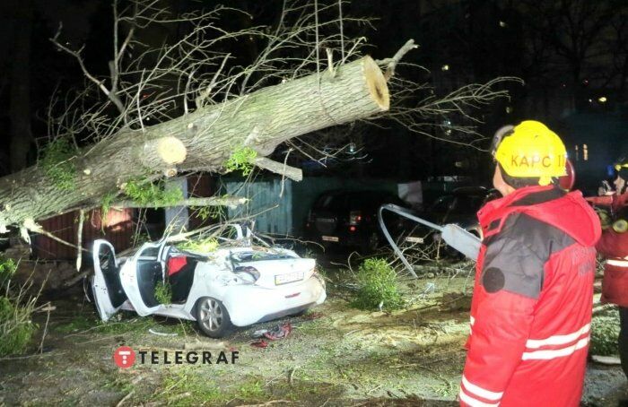 В Киеве ветер повалил массивное дерево и столб на автомобили. Погиб человек, десяток авто повреждены. Фоторепортаж 1