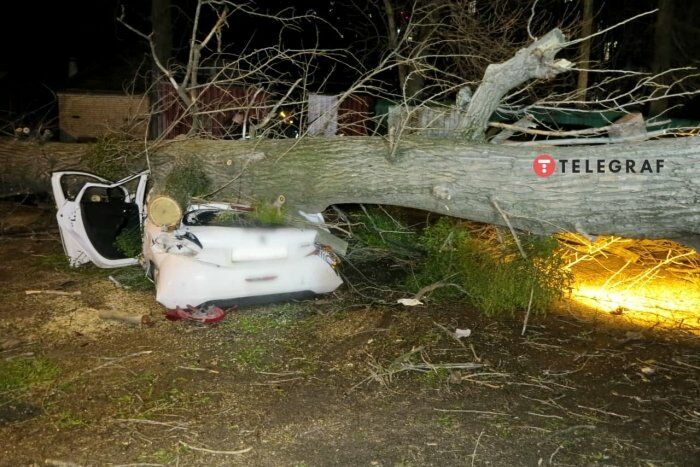 В Киеве ветер повалил массивное дерево и столб на автомобили. Погиб человек, десяток авто повреждены. Фоторепортаж 3