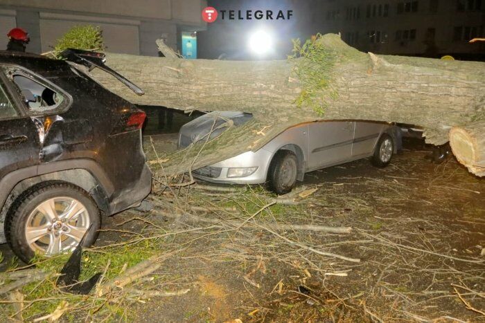 В Киеве ветер повалил массивное дерево и столб на автомобили. Погиб человек, десяток авто повреждены. Фоторепортаж 4