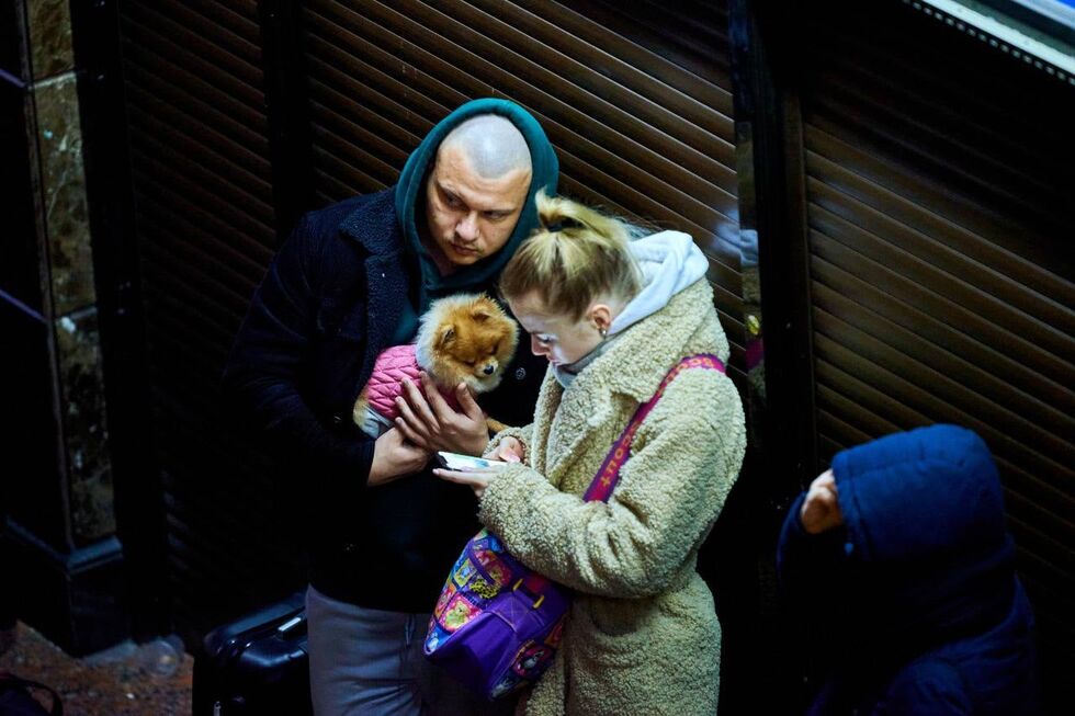 "Укрзалізниця" помогла украинцам эвакуировать более 100 тыс. животных. Фоторепортаж 10