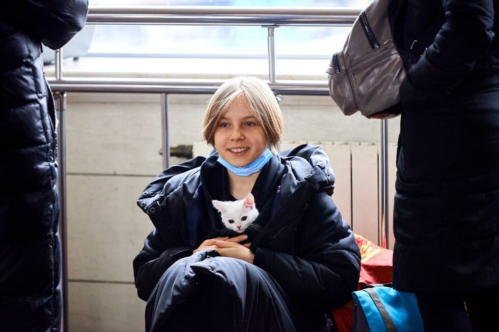 "Укрзалізниця" допомогла українцям евакуювати понад 100 тис. тварин. Фоторепортаж 4